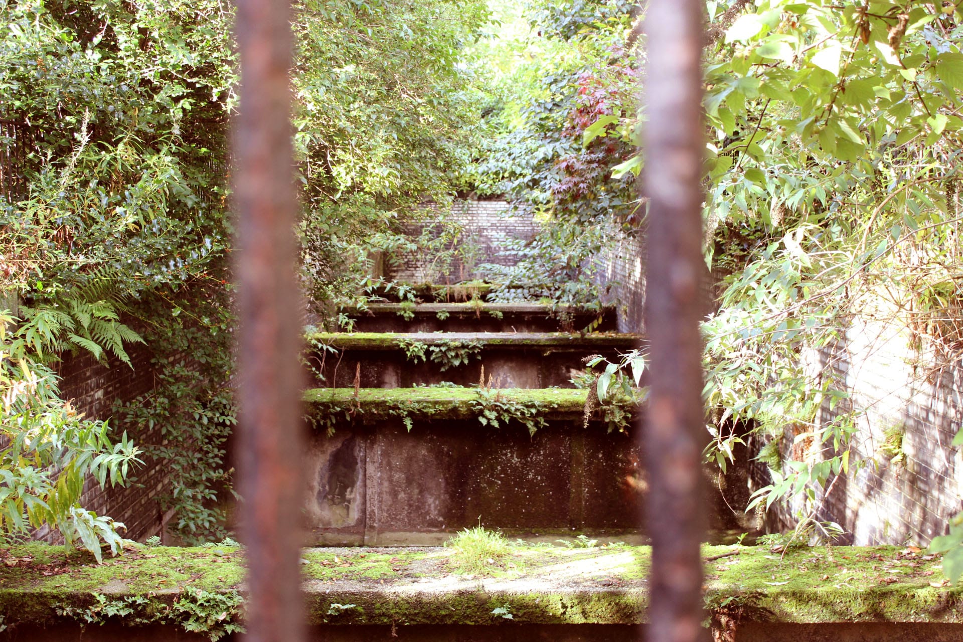 old railway botanic gardens glasgow