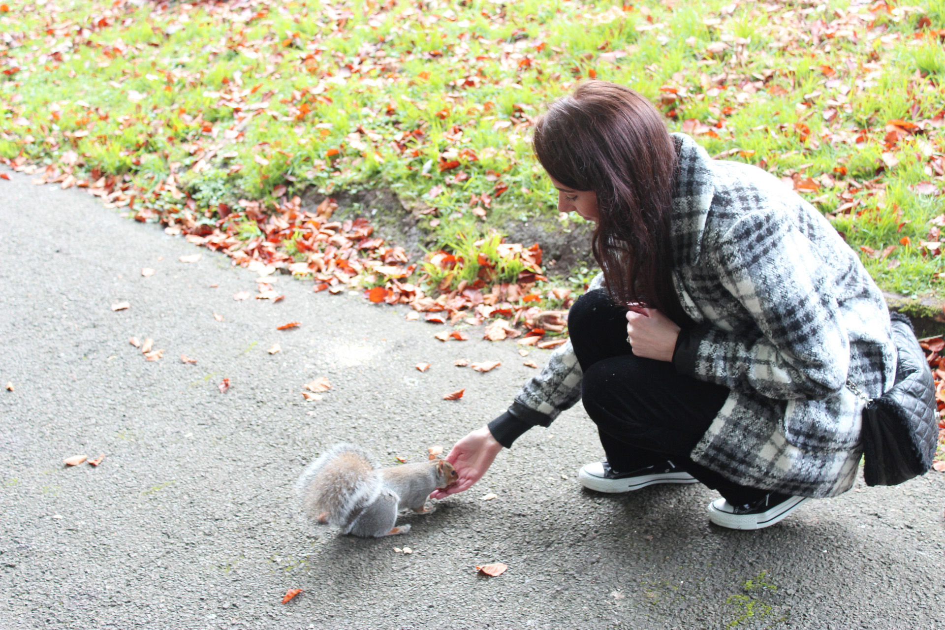 Feeding squirrels