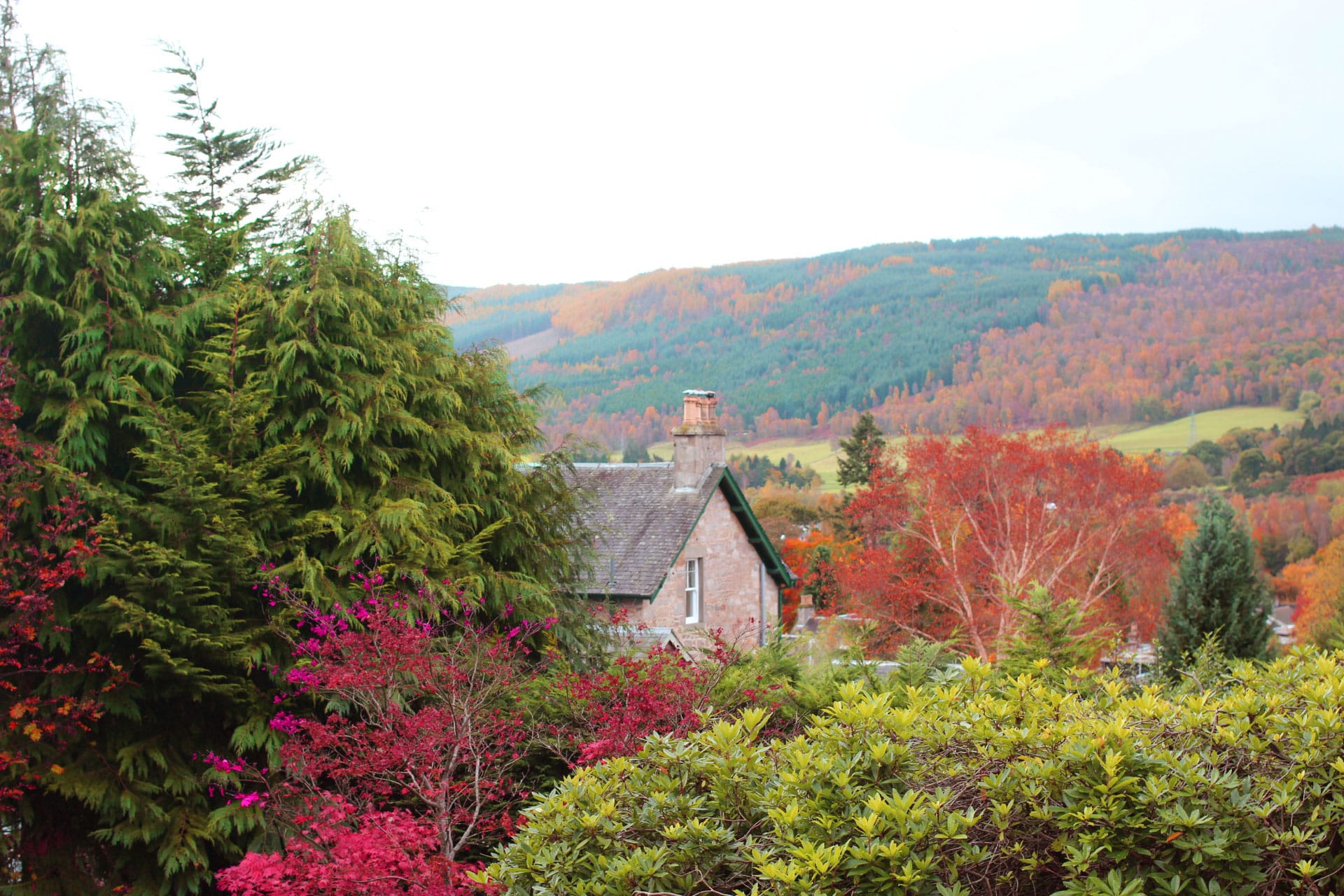 THE ENCHANTED FOREST, PITLOCHRY - The Girl In The Tartan Scarf