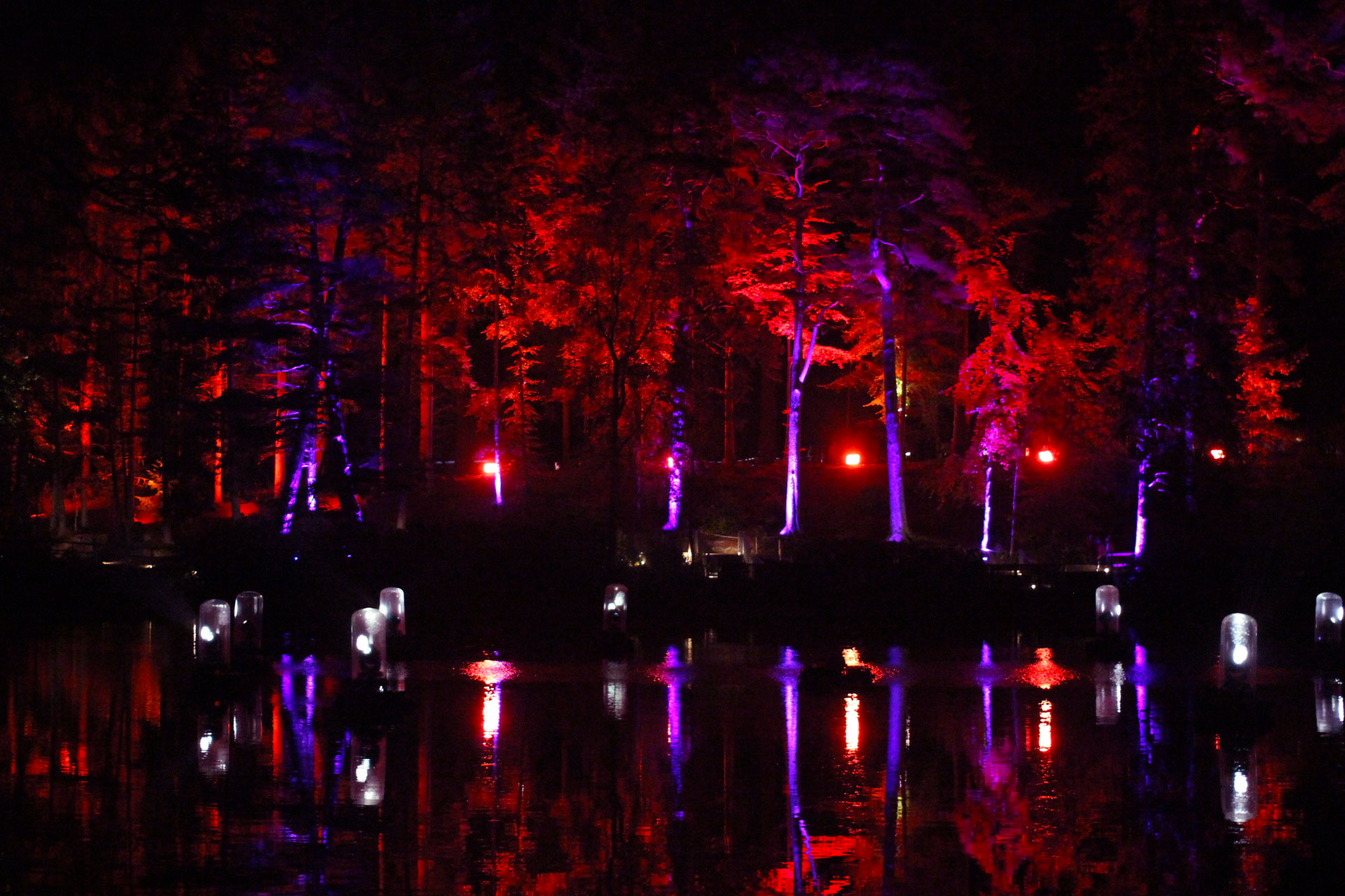 the-enchanted-forest-light-display-pitlochry-scotland