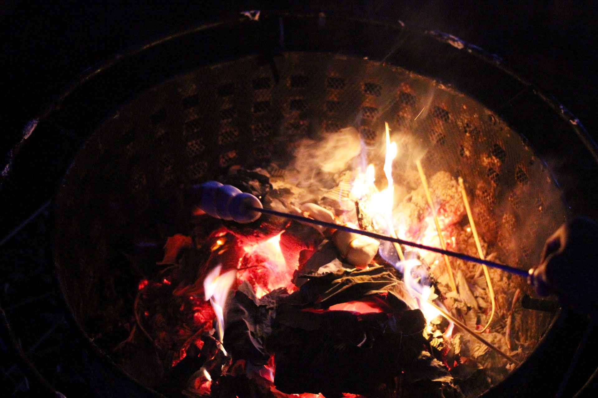 toasting-marshmallows-the-enchanted-forest-pitlochry