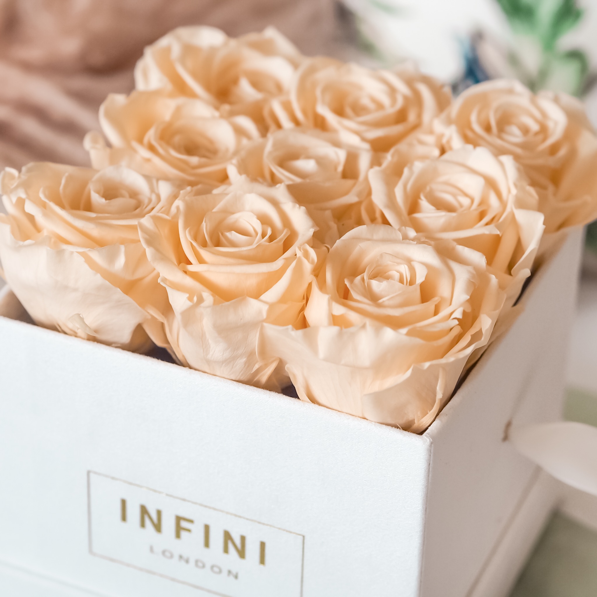 Infini Roses | roses that last a year | roses that don't need water | roses that last years | flowers that don't need water or feed | roses that last for years