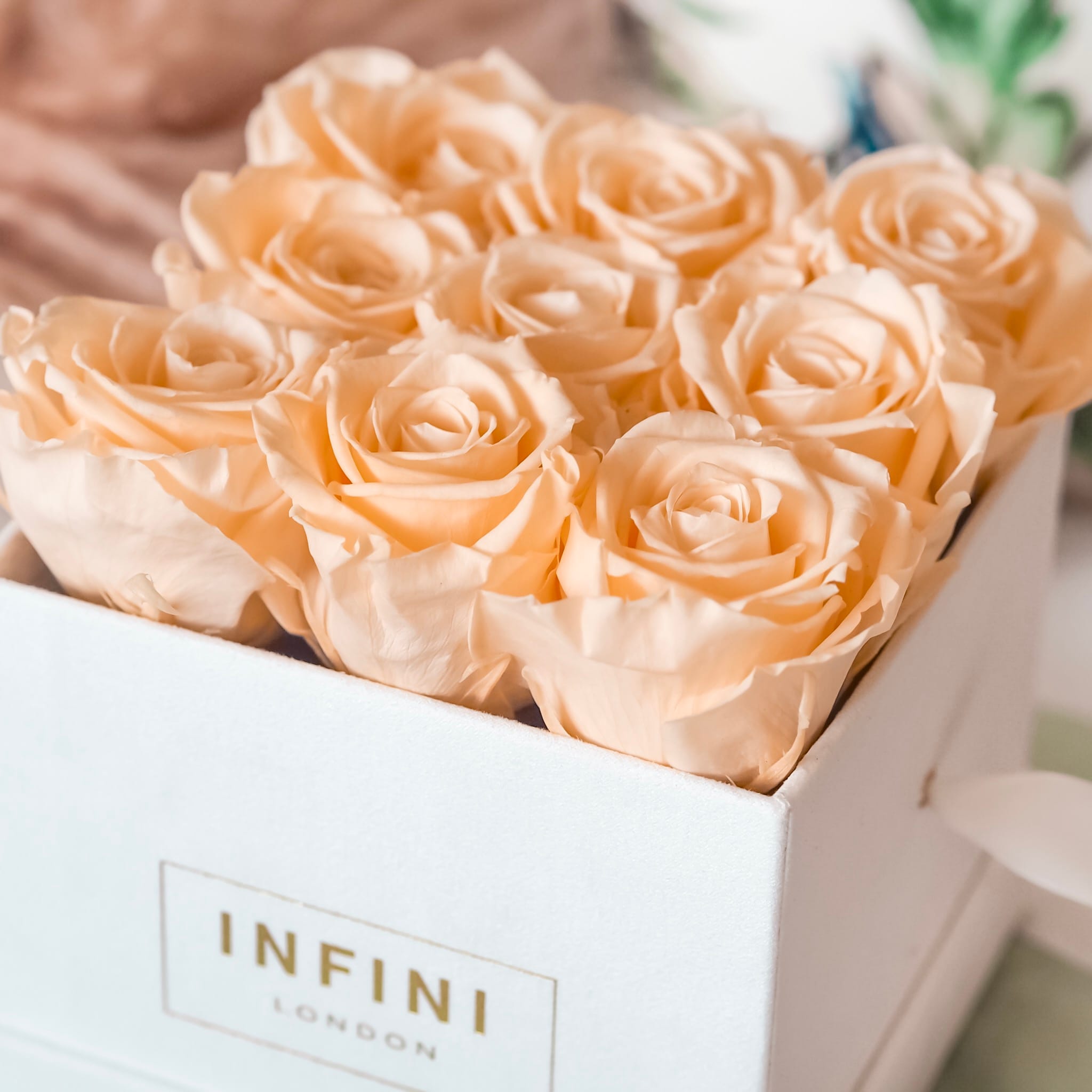 Infini Roses | roses that last a year | roses that don't need water | roses that last years | flowers that don't need water or feed | roses that last for years